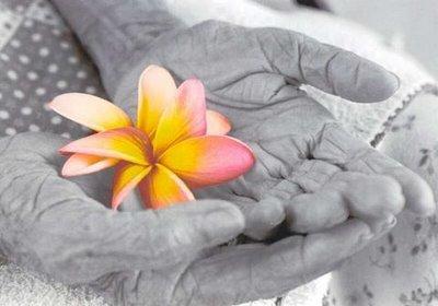 Especial: Dia Internacional do Idoso