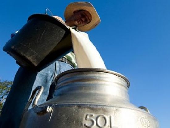 Pesquisa vai mapear pequenos produtores de leite do estado