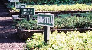 Comunidade de Santo Isidoro contará com Horto Medicinal