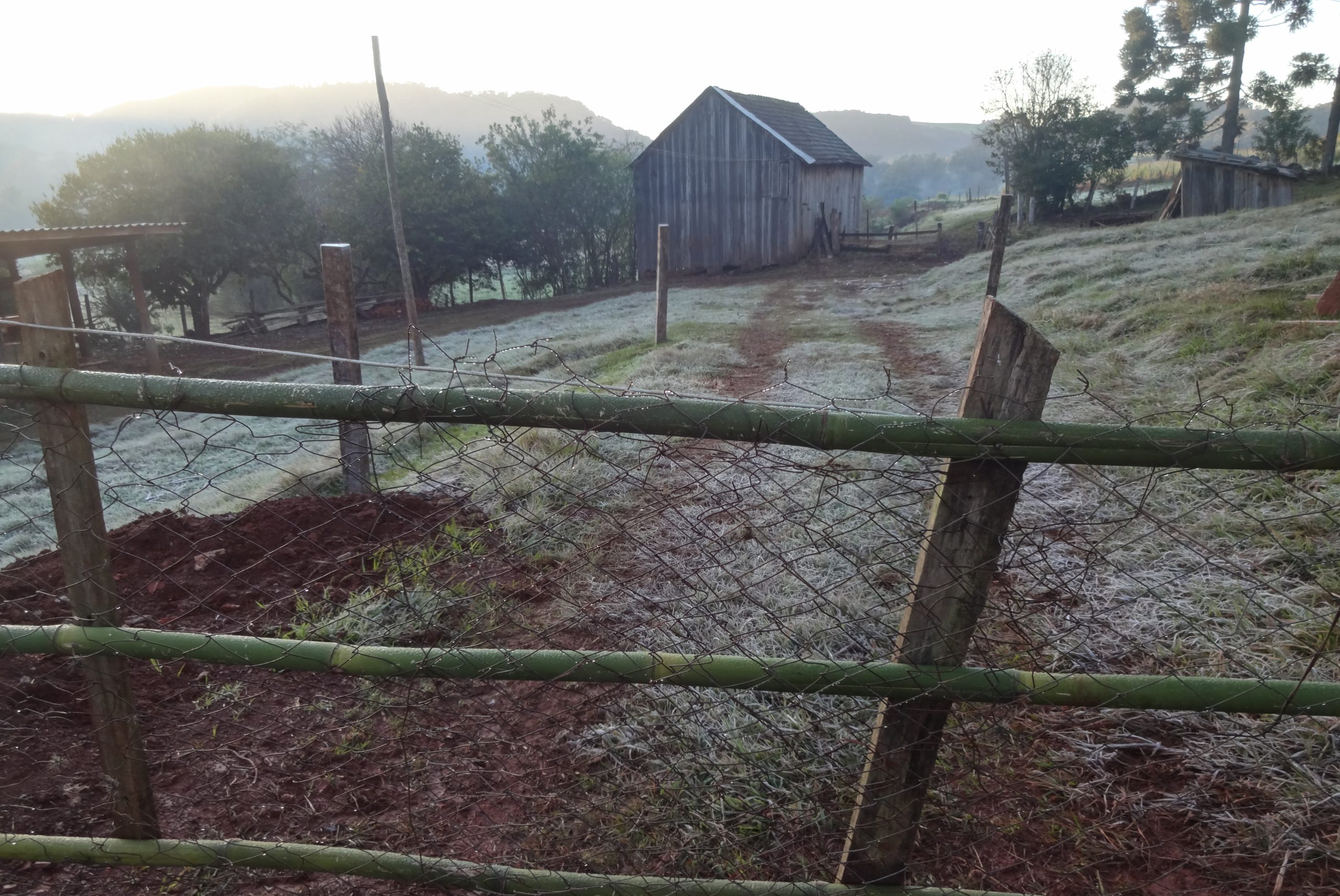 Vila Maria registra mínima de 0º, com geada e cerração