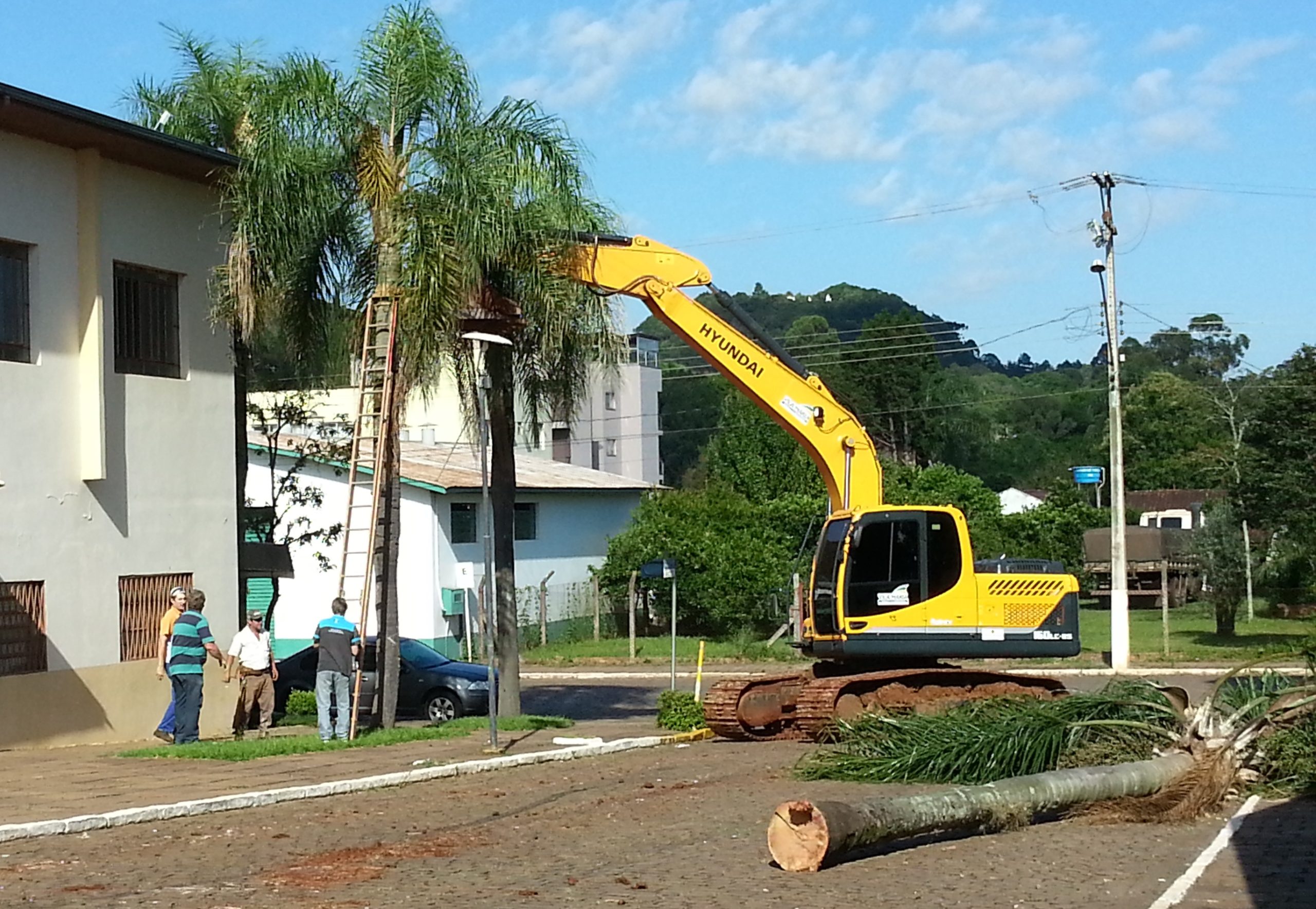 Árvores que representavam risco foram retiradas do entorno da Praça Central de Vila Maria