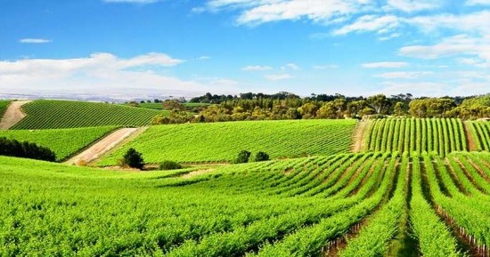 ECONOMIA: Conselho Monetário condiciona crédito rural a inscrição no CAR