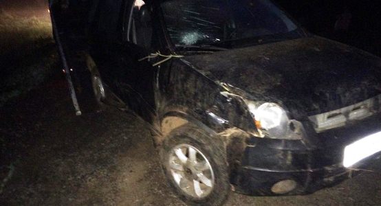 TRANSITO: Colisão resulta em óbito na ERS 324 em Casca