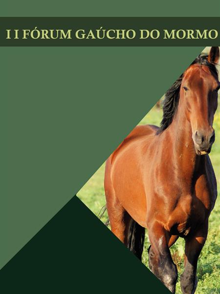 II Fórum Gaúcho do Mormo será no dia 20 de outubro na UPF