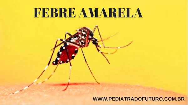 Febre amarela: a ameaça não é só em Minas