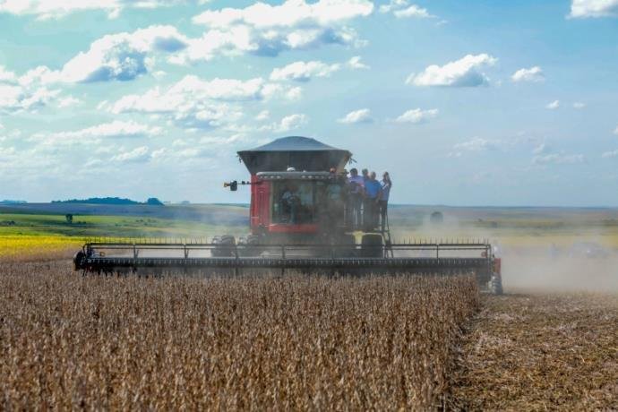 RURAL: Estimativa do IBGE prevê aumento de 25% na safra de grãos