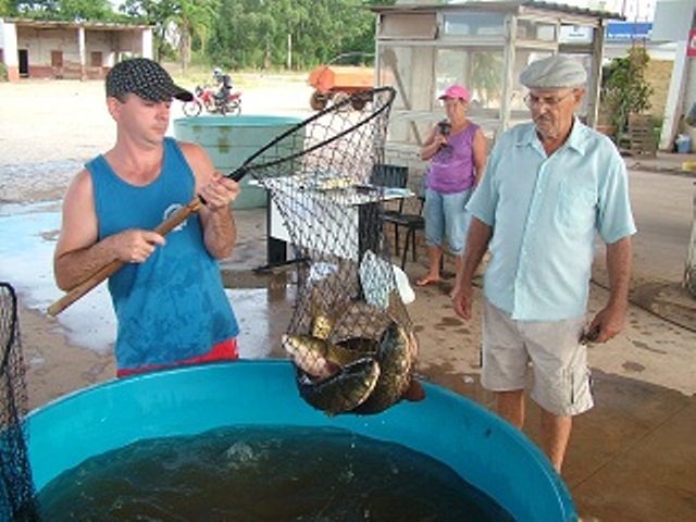 RS projeta comercializar mais de 4,3 mil toneladas de peixes na Semana Santa