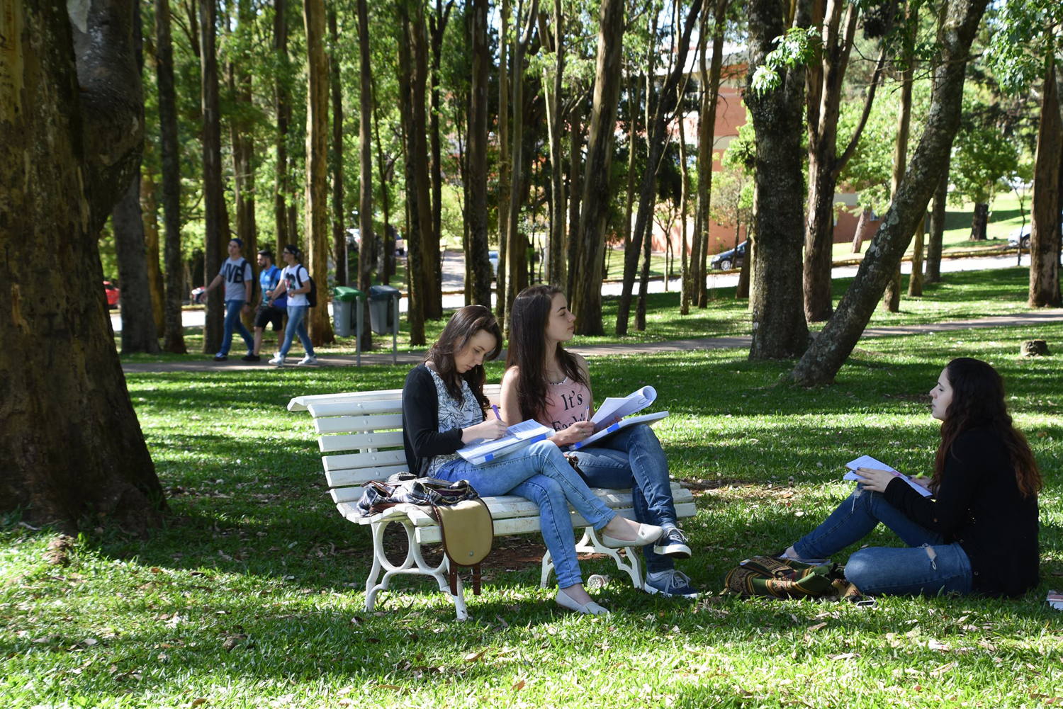 UPF: Inscrições para ingresso especial iniciam nesta segunda-feira