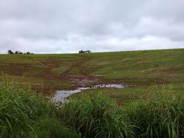 Plantio do trigo chega a 53% da área prevista para RS