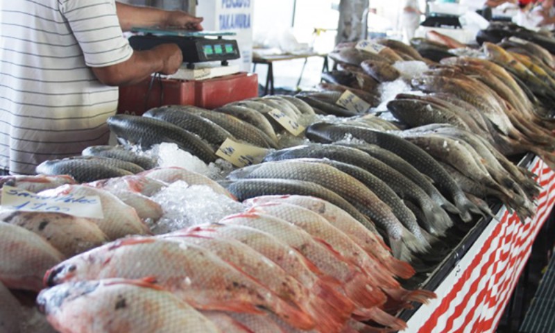 RS estima comercializar quase 4 mil toneladas de peixes na Semana Santa