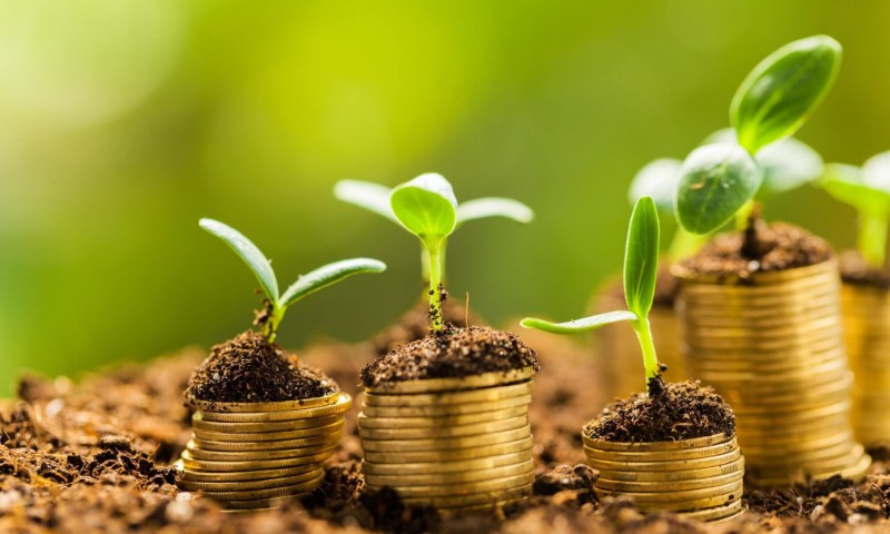 Contratação de crédito rural até outubro soma R$ 64 bilhões
