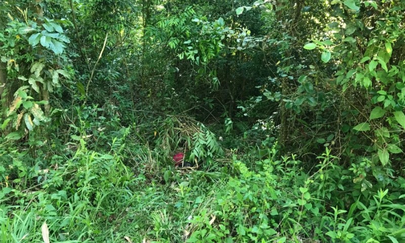 POLÍCIA: Morador de Ibirapuitã, que estava desaparecido, é encontrado morto