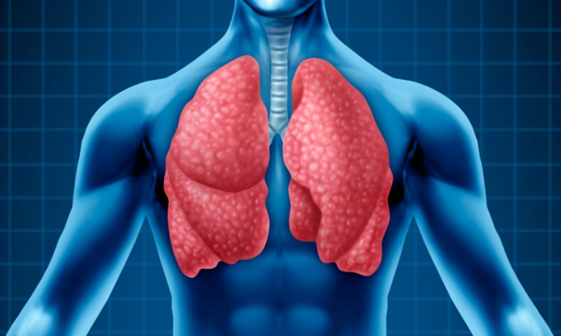 12 de novembro: dia de falar sobre pneumonia