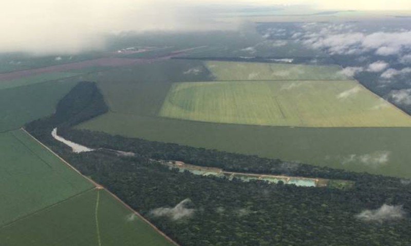 Inscrição do Cadastro Ambiental Rural tem prazo prorrogado