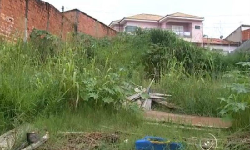 Em Vacaria: Proprietários que não mantém terrenos baldios limpos estão sendo notificados pela prefeitura