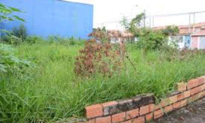 Vila Maria: projeto de lei que dispõe sobre limpeza de terrenos baldios é aprovado