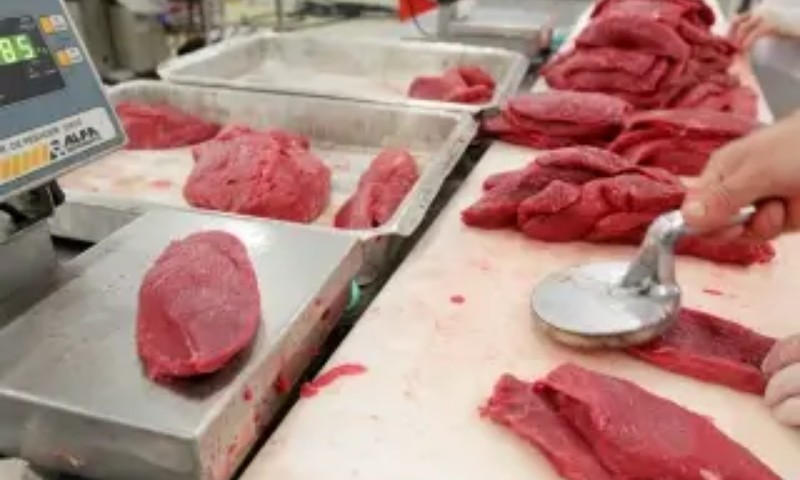 Missão americana para inspeção de carnes virá ao Brasil em 10 junho