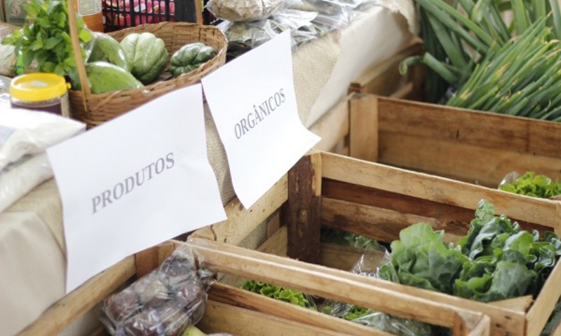 Prefeitura de Marau cria programa de apoio à Agroindústria Familiar