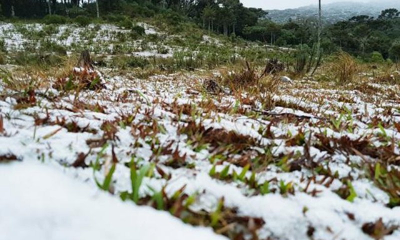 Frio muito intenso à vista para o Brasil