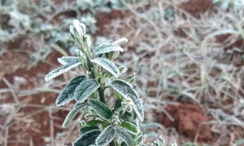 Frio perde intensidade nessa semana