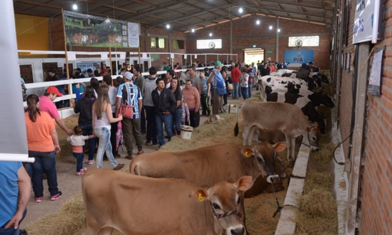 Expomarau 2019: setor agropecuário terá inovação e ótimas oportunidades de negócios