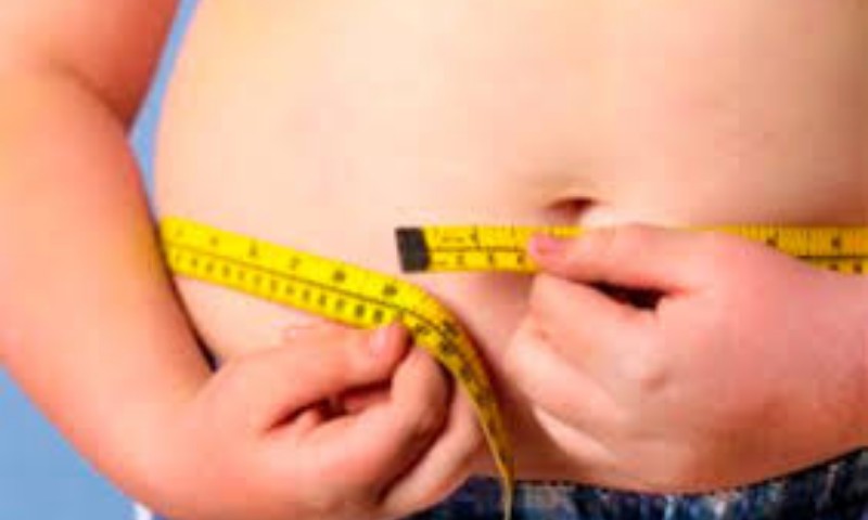 Vila Maria: avaliação nutricional observa alta porcentagem de estudantes acima do peso