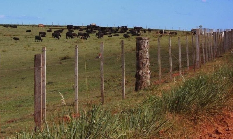 TRIBUTOS: Entrega de Declaração do Imposto Territorial encerra hoje