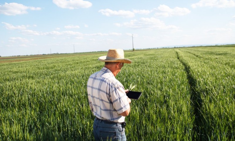 Agricultura familiar emprega mais de 10 milhões de pessoas, mostra Censo Agropecuário