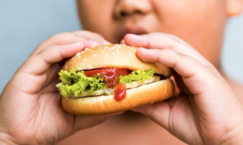 Obesidade infantil cresce e preocupa especialistas