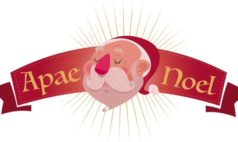 Confira o resultado da Campanha Apae Noel 2019