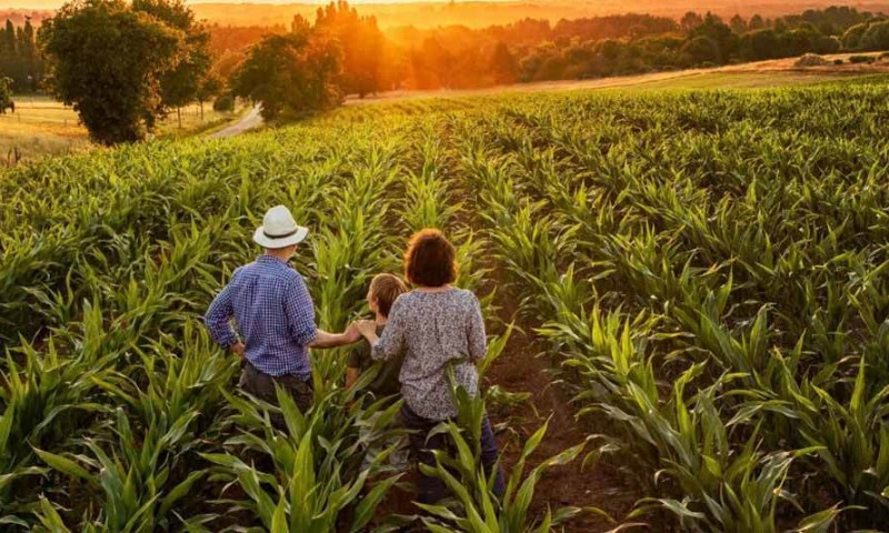 Agricultura familiar terá mais R$ 1 bilhão para investimento