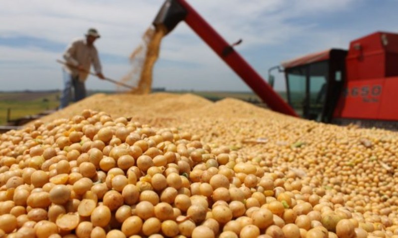 Quase 10% das lavouras de soja estão colhidas no Estado