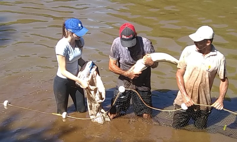 Emater/RS-Ascar estima comercialização de 3 mil toneladas de peixes na Semana Santa