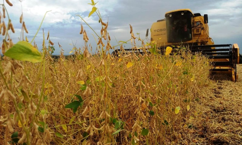 Colheita da soja atinge 58% da área cultivada no RS