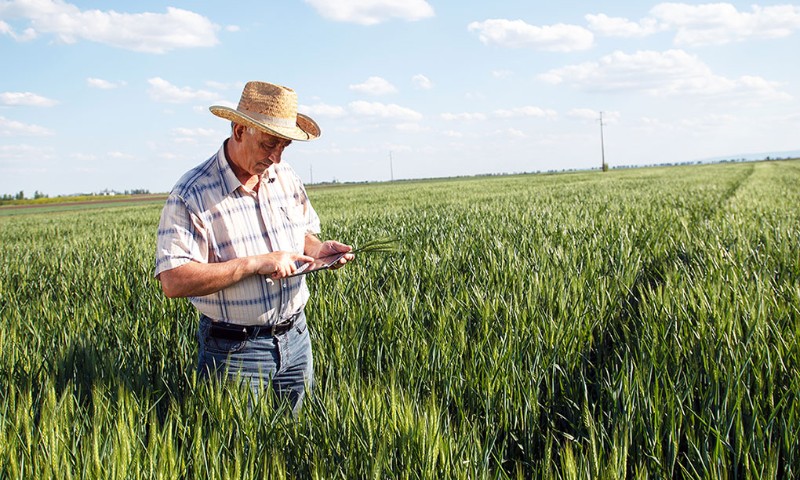 Coprel avança ainda mais na oferta de internet rural com a Triway Via Satélite