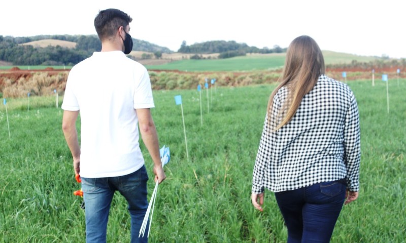 ENSINO: Curso de Agronomia da CESURG possui Área Experimental em parceria com a Coagrisol
