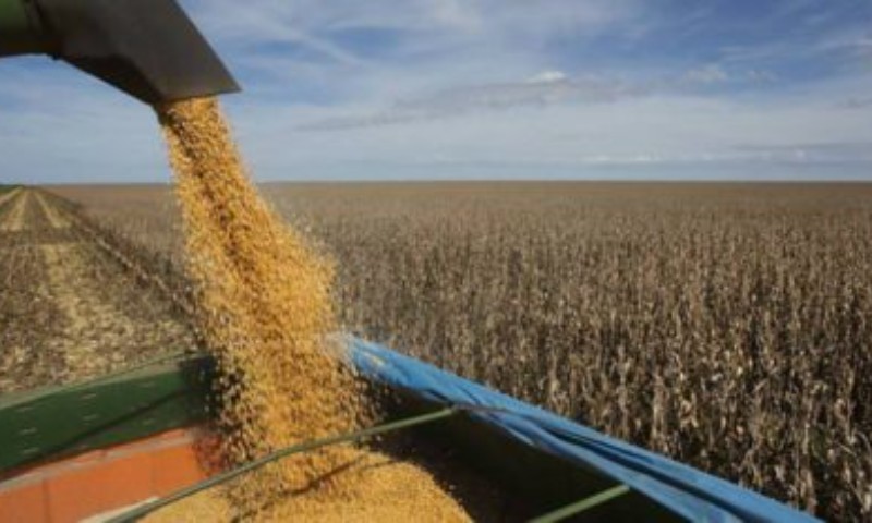 Produção de grãos da safra 2020/21 deve alcançar novo recorde com 268,9 milhões de toneladas