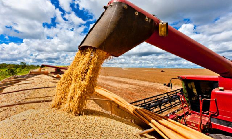 Produção brasileira de grãos deve chegar a 268,3 milhões de toneladas