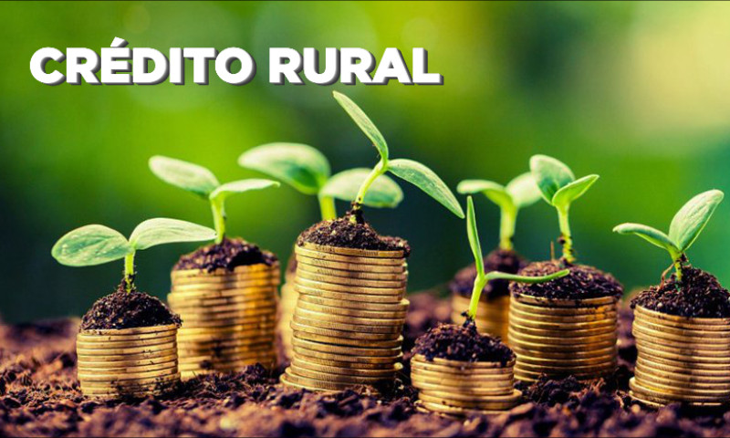 Aplicação dos recursos de crédito rural ultrapassa R$ 135 bilhões em sete meses