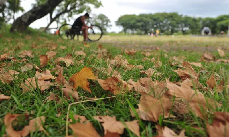 CLIMA: Outono começa neste sábado no RS com chance de temperaturas acima da média histórica
