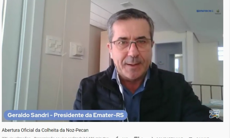 RS deverá colher maior safra de noz-pecã da história