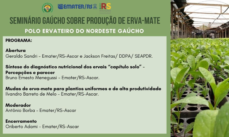 Sexta-feira (07) terá evento virtual sobre Erva-Mate