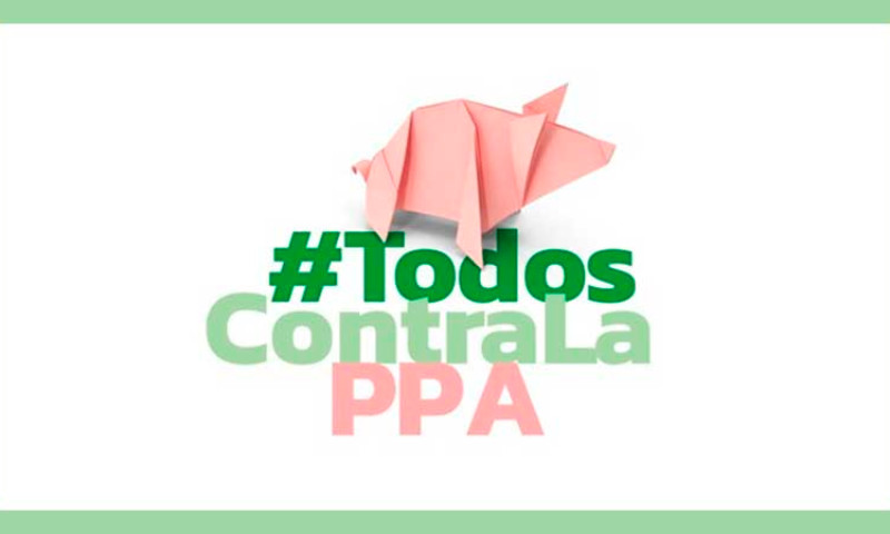 América Latina constitui comitê de crise para prevenção de Peste Suína Africana