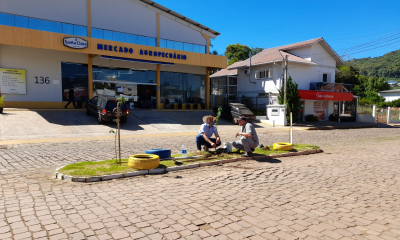 MEIO AMBIENTE: Reposição de árvores no perímetro urbano de Vila Maria