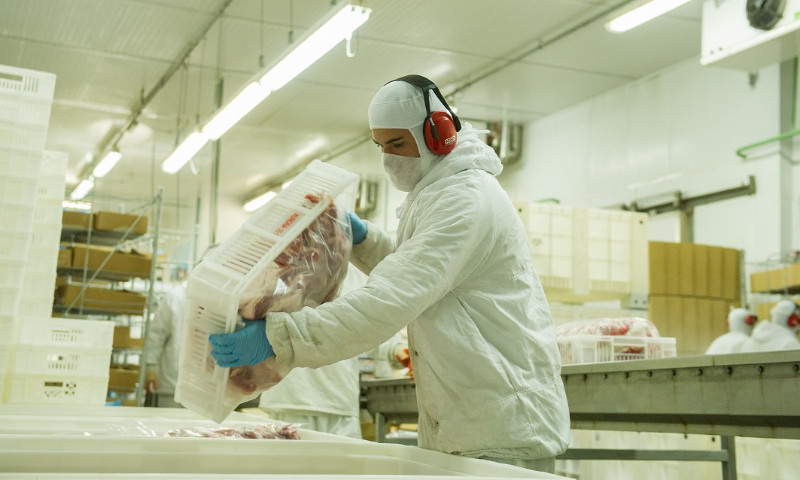 ABPA projeta desempenho positivo para a avicultura e a suinocultura em 2021 e 2022