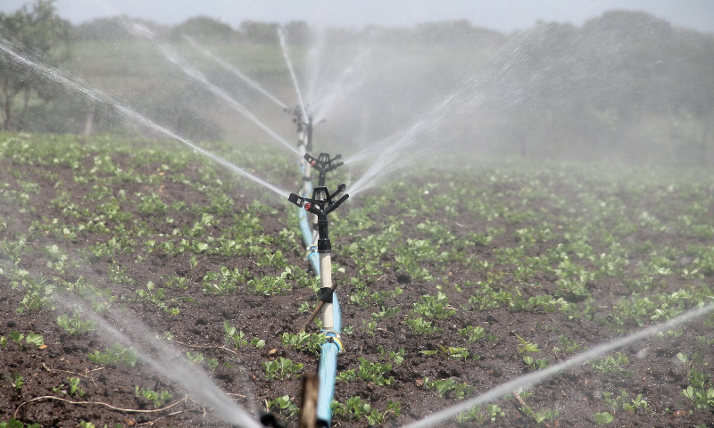 Pequeno produtor do RS terá subsídio de R$ 15 mil para sistemas de irrigação