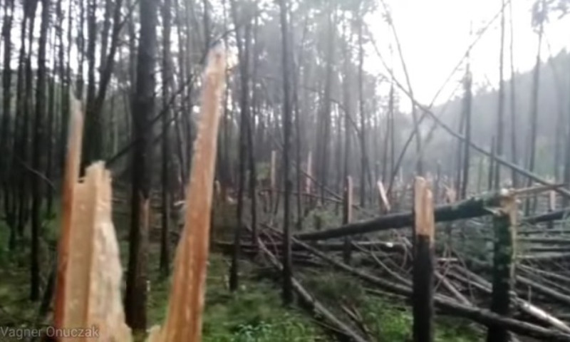 Tornado pode ter atingido município de Ibiraiaras