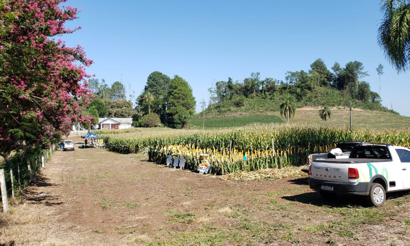 Cesurg Marau promove Dia de Campo nesta quinta-feira (24)
