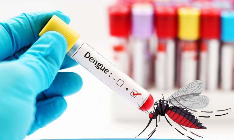 DENGUE: Vila Maria apresenta 04 casos suspeitos