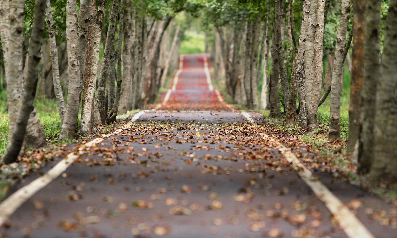 Como será o outono 2022 no Brasil?